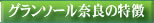 グランソール奈良の特徴