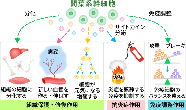 【希少必見！】 治療院25店舗年商15億を実現する繁盛する治療院の為の幹部スタッ たけちはり灸院 - たけちはり灸院｜名古屋市名東区・一社駅近く