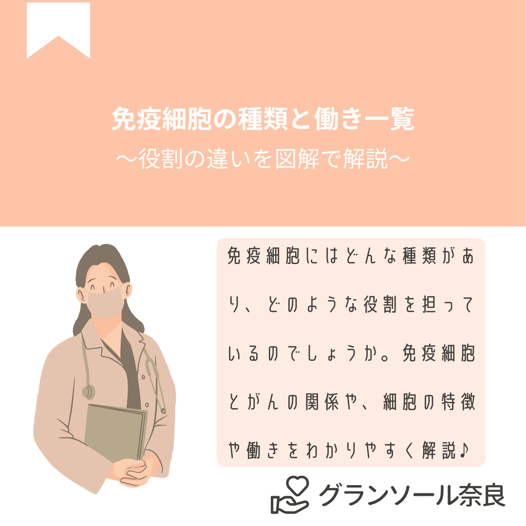 免疫細胞にはどんな種類があり、どのような役割を担っているのでしょうか。NK細胞・T細胞・B細胞などの働きを一覧でわかりやすく解説。免疫細胞とがんの関係や、中高年で重要になる理由も紹介します。