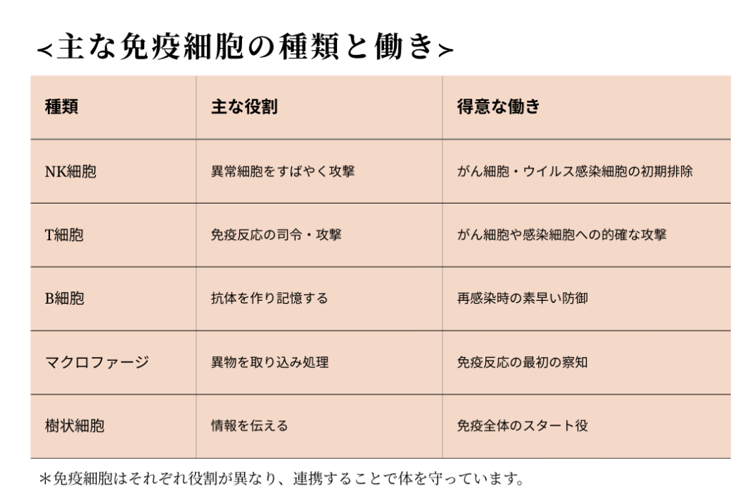 免疫細胞の種類と特徴(一覧表)